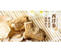西洋参 滋补养生的天然瑰宝