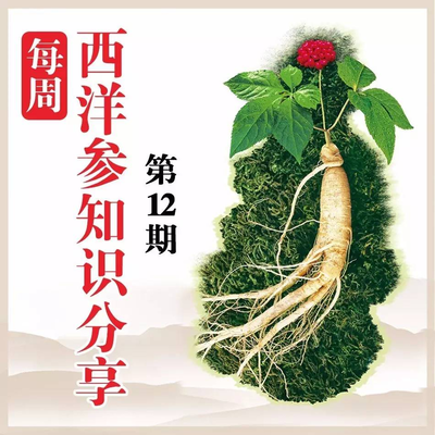 乐陶陶西洋参小知识每日分享(周五合集12) 探索黑参产品的奥秘