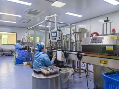 通化 人参产业“新新”向荣，西洋参成新亮点